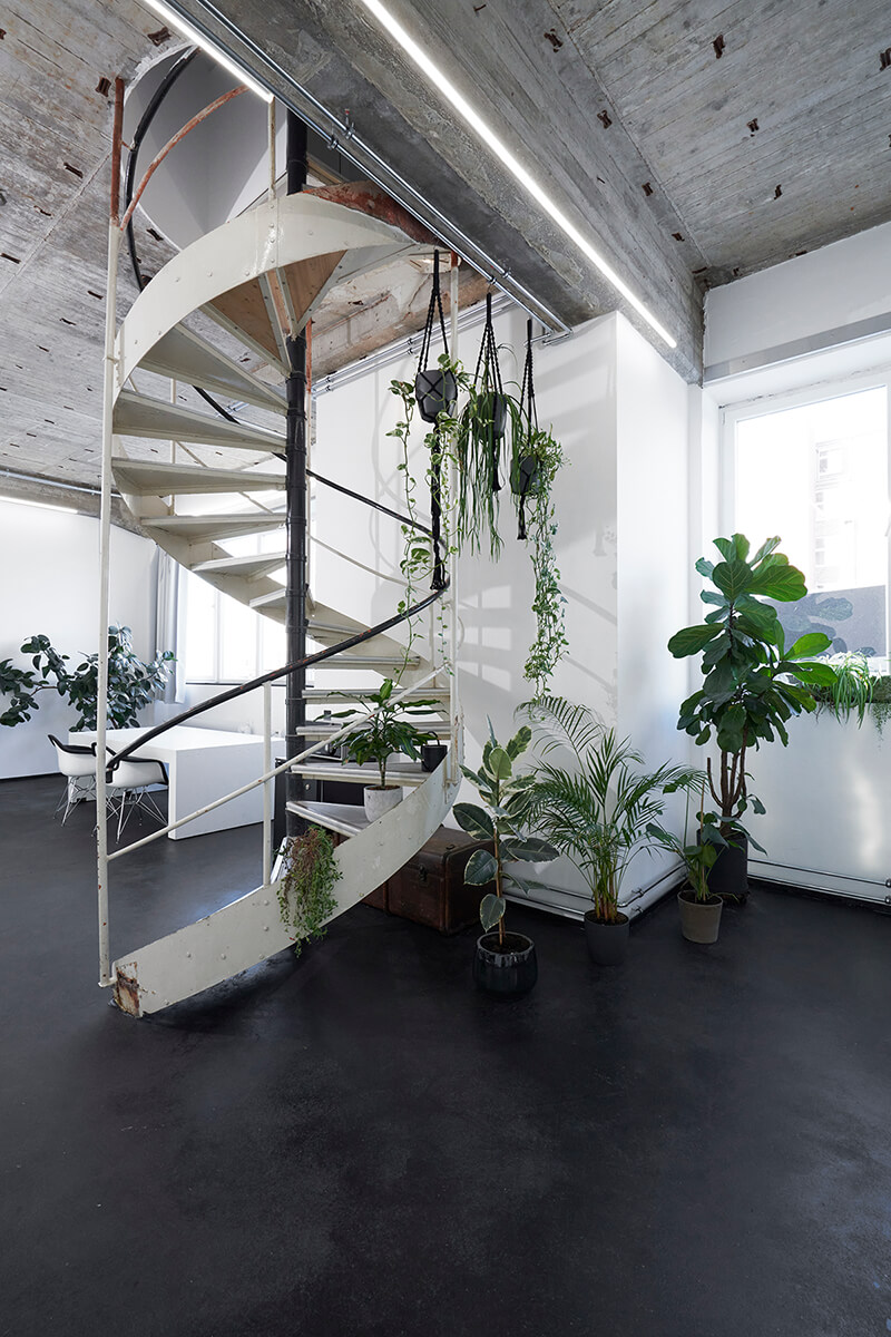 Zimmerpflanzen und industrielle Wendeltreppe bei raw studios., einem kreativen Mietraum und Filmstudio in Berlin