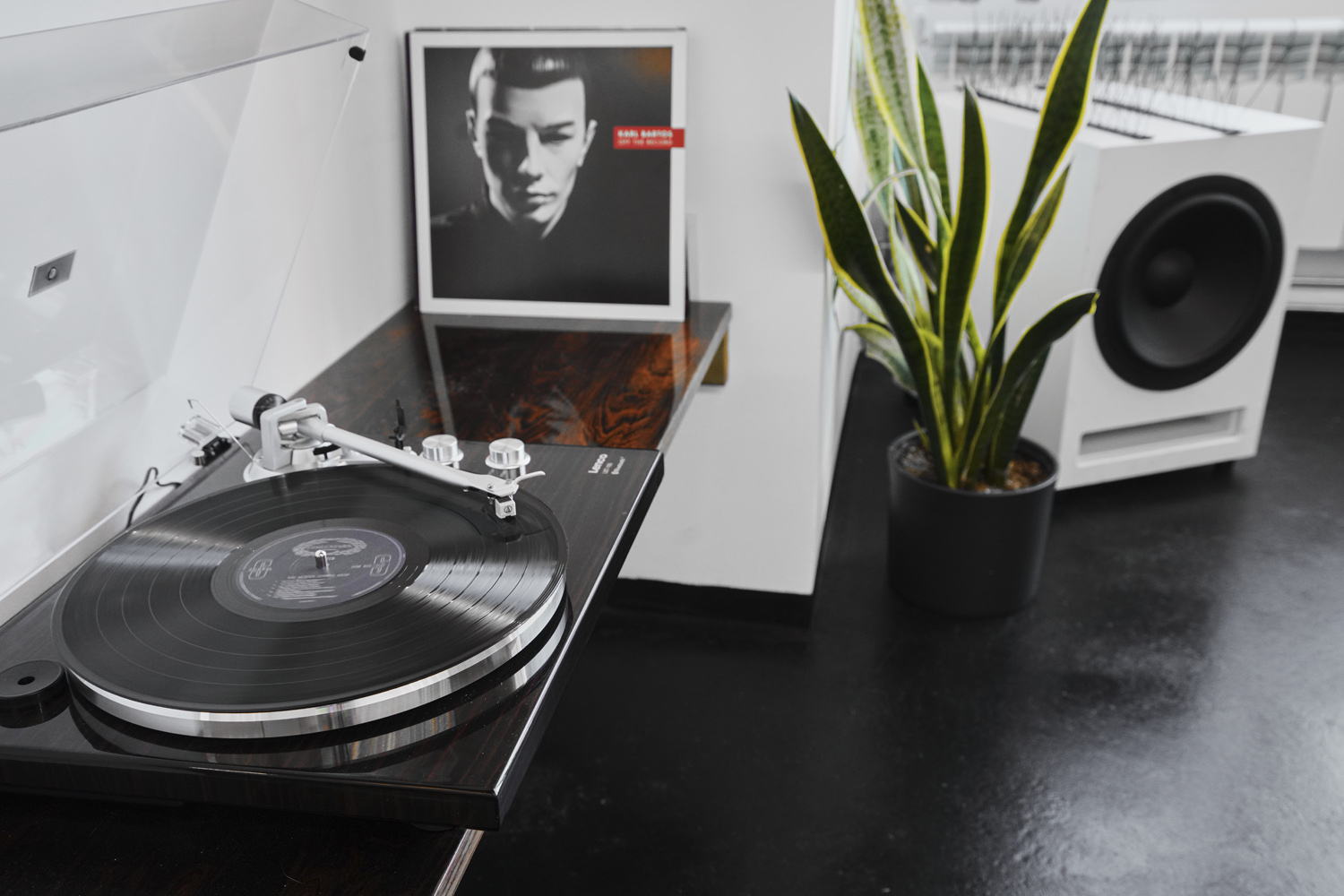 raw_studios_studio3_vinylplayer_DE Plattenspieler-mit Vinylanlage, Lautsprecher und Zimmerpflanzen – stilvoll und funktional